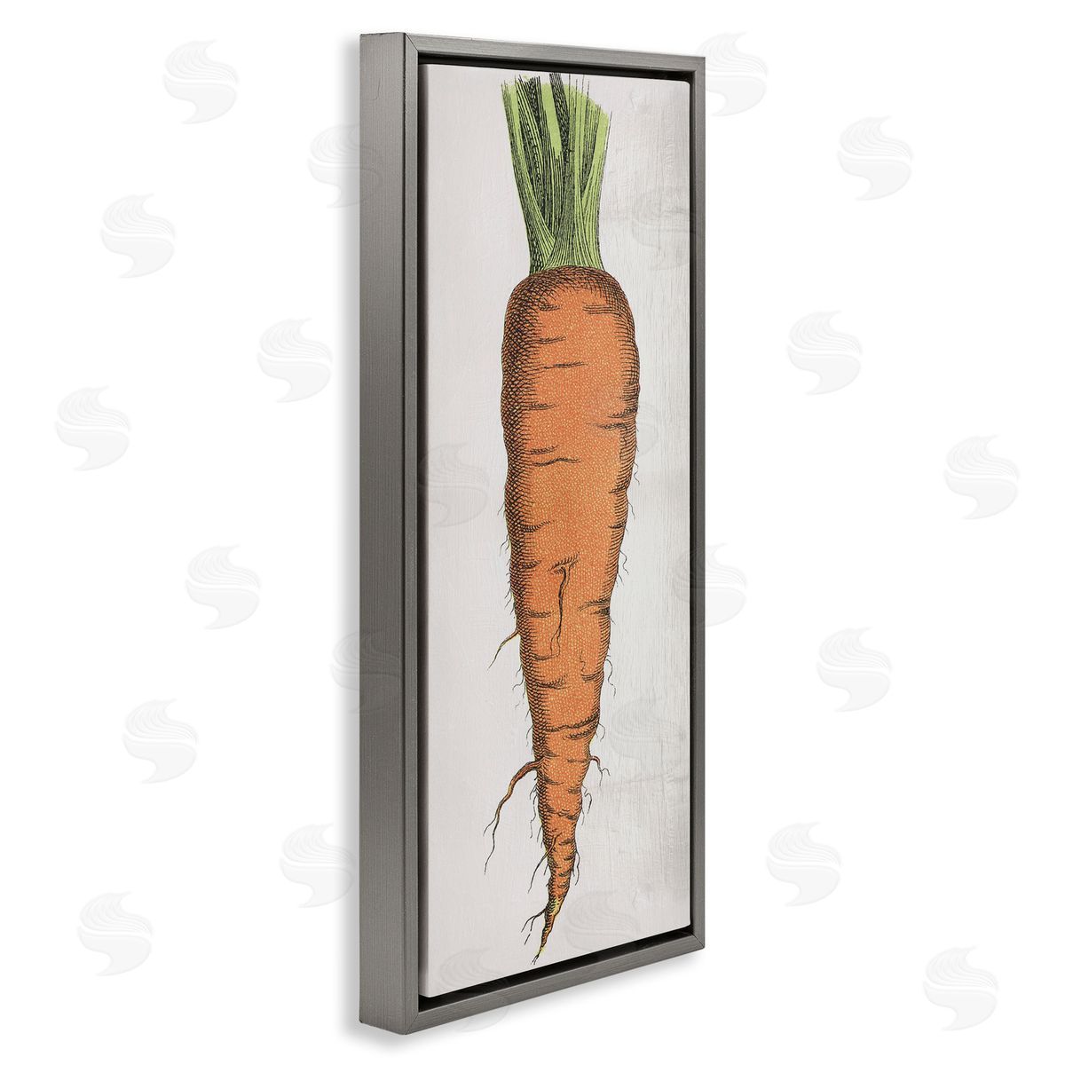 Detailed Carrot Study Grey Floating Frame Canvas Wall Art, Home Decor by Stupell Studio