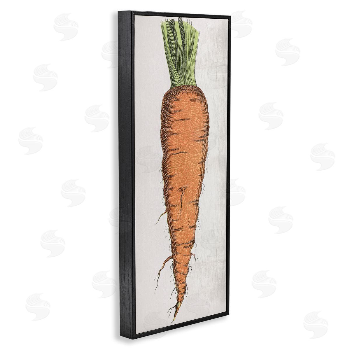 Detailed Carrot Study Black Frame Print Wall Art, Home Decor by Stupell Studio