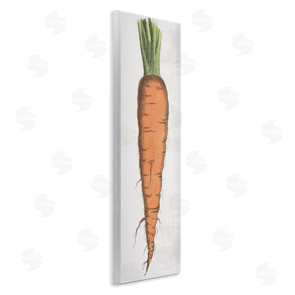 Detailed Carrot Study Wood Plaque Wall Art, Home Decor by Stupell Studio