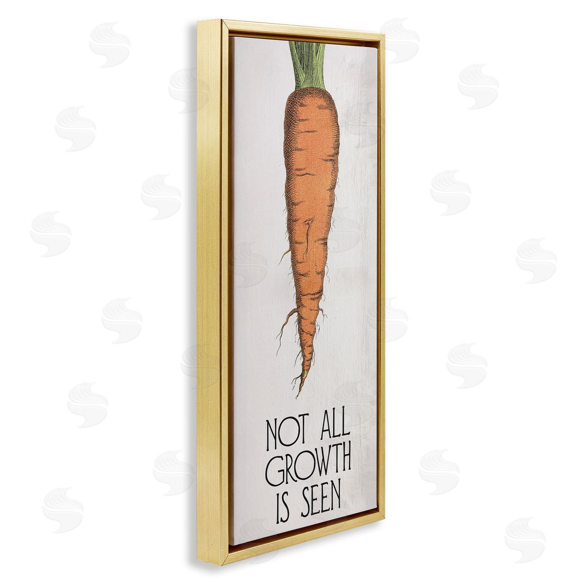 Carrot & Inspiring Growth Gold Floating Frame Canvas Wall Art, Home Decor by Stupell Studio