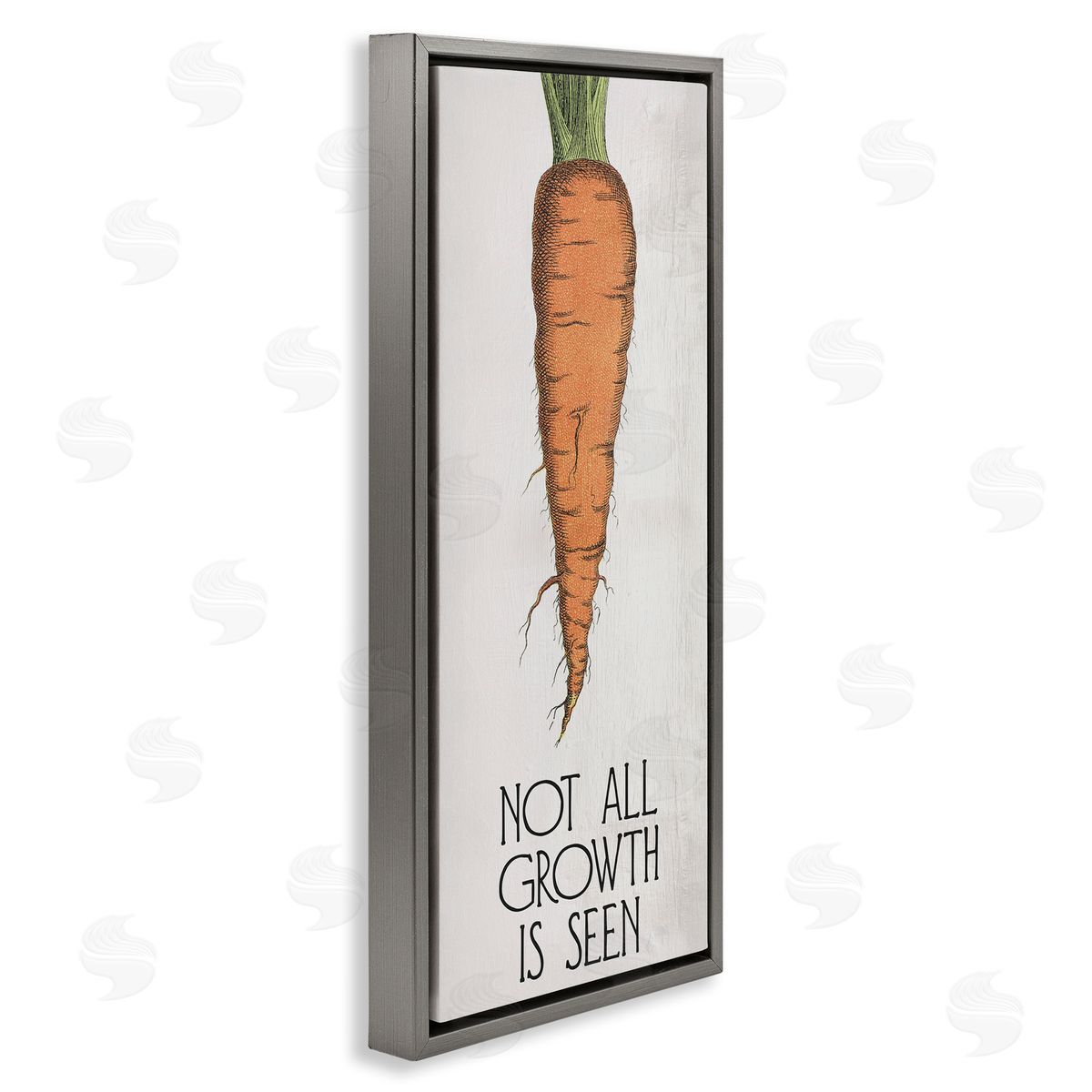 Carrot & Inspiring Growth Grey Floating Frame Canvas Wall Art, Home Decor by Stupell Studio