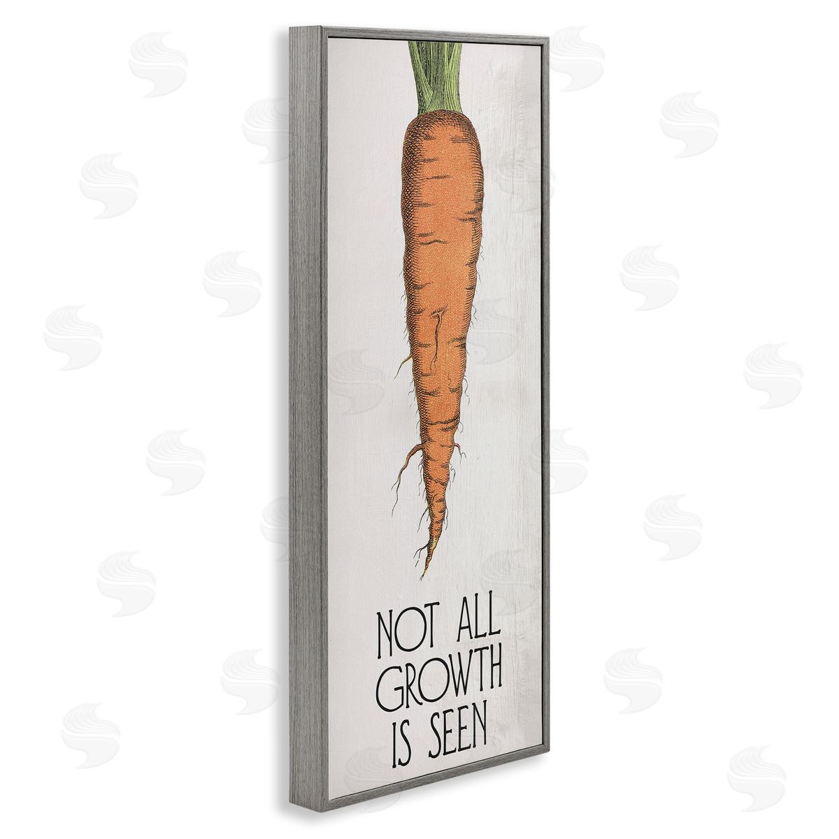 Carrot & Inspiring Growth Grey Frame Print Wall Art, Home Decor by Stupell Studio