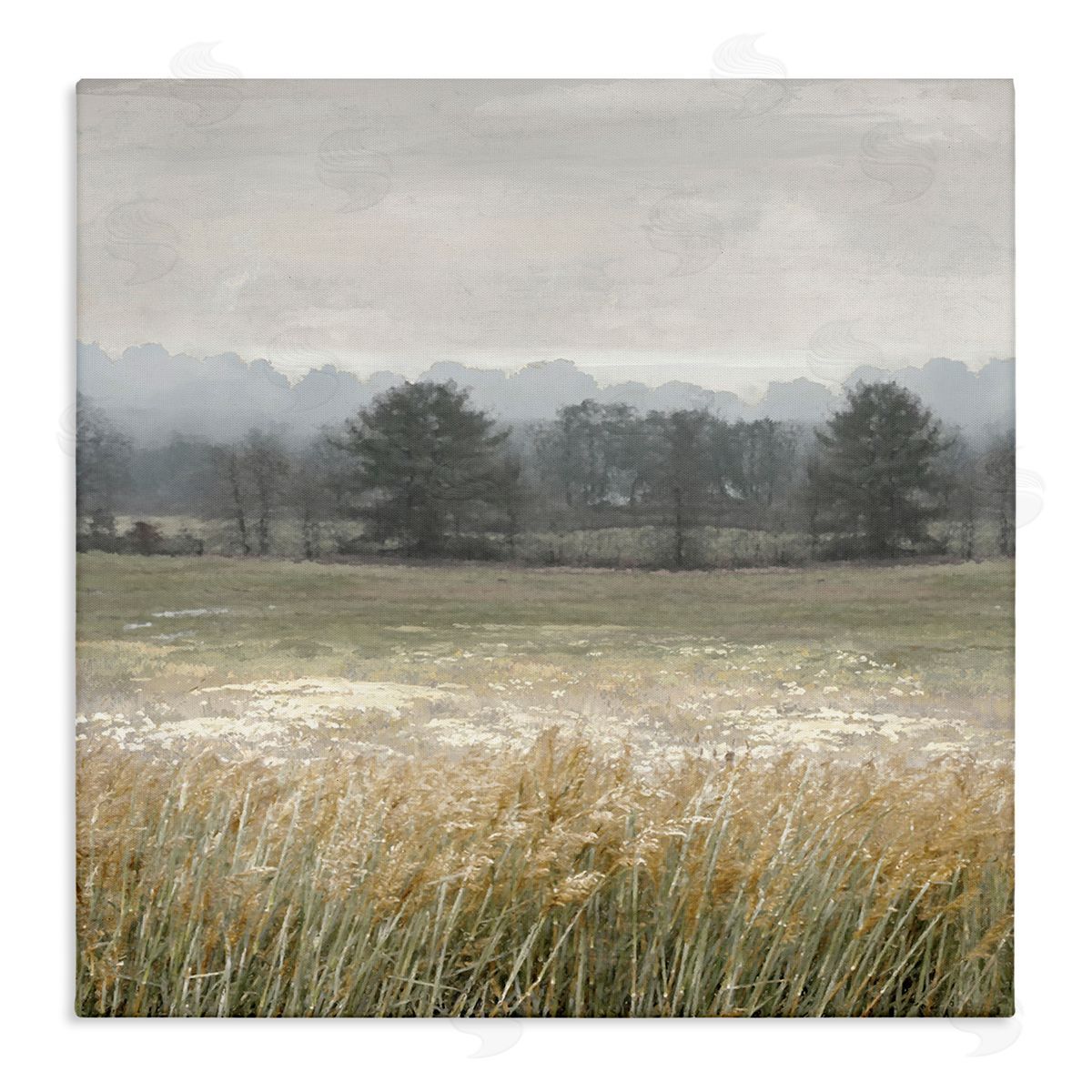 Jesse Carter  Canvas Wall Art Print