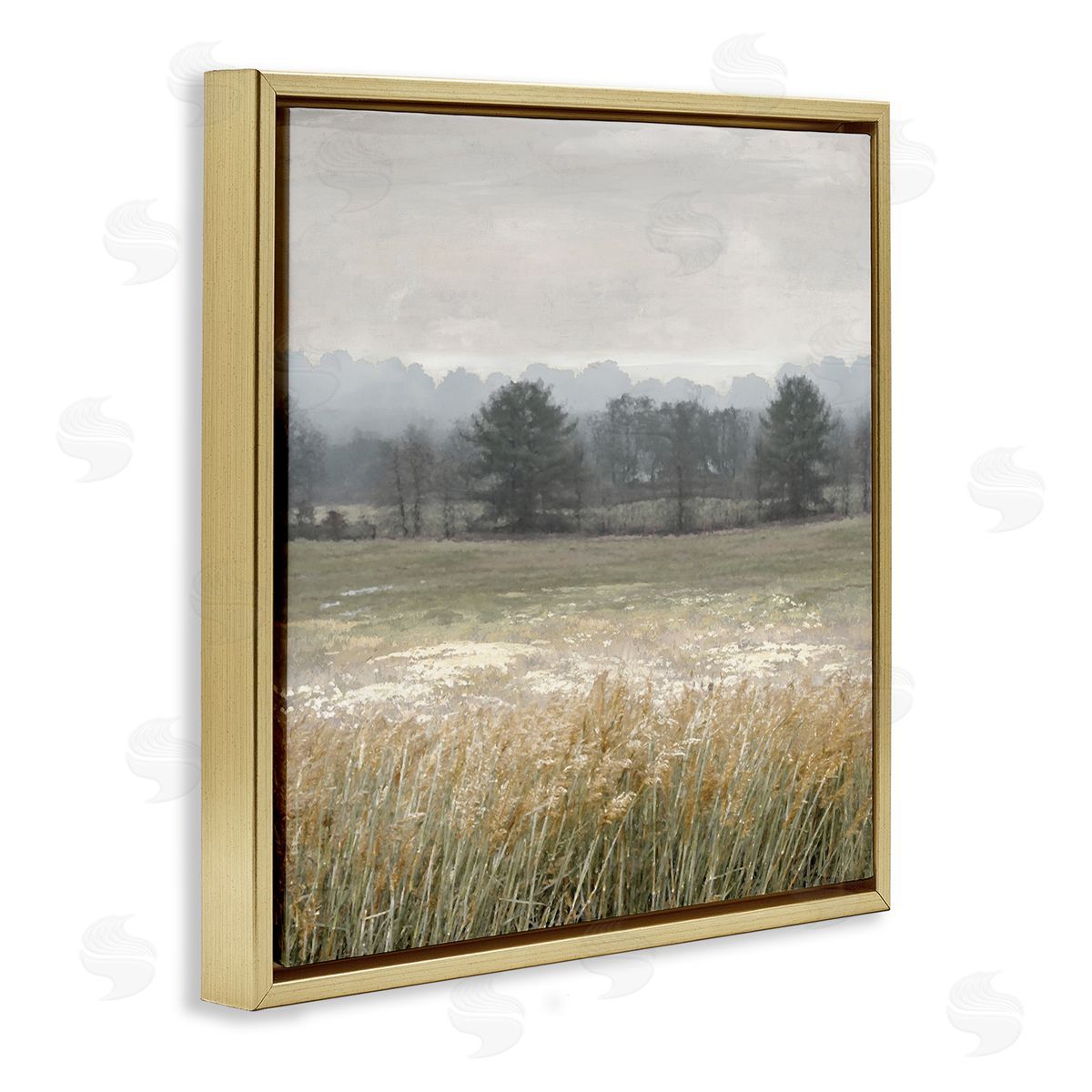 Jesse Carter  Gold Floating Frame Canvas Wall Art Print