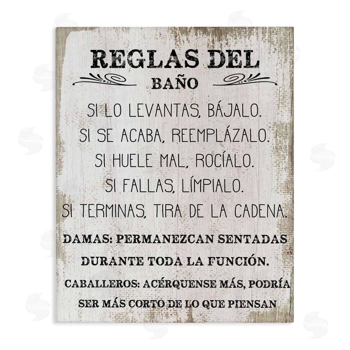 Stupell Studio Reglas Divertidas del Baño Canvas Wall Art Print