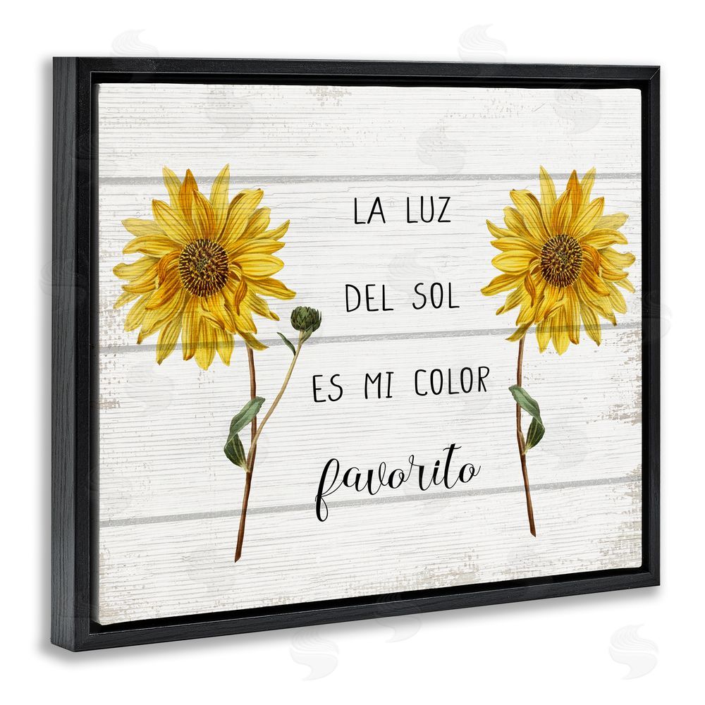 Stupell Studio La Luz Del Sol Black Floating Frame Canvas Wall Art Print