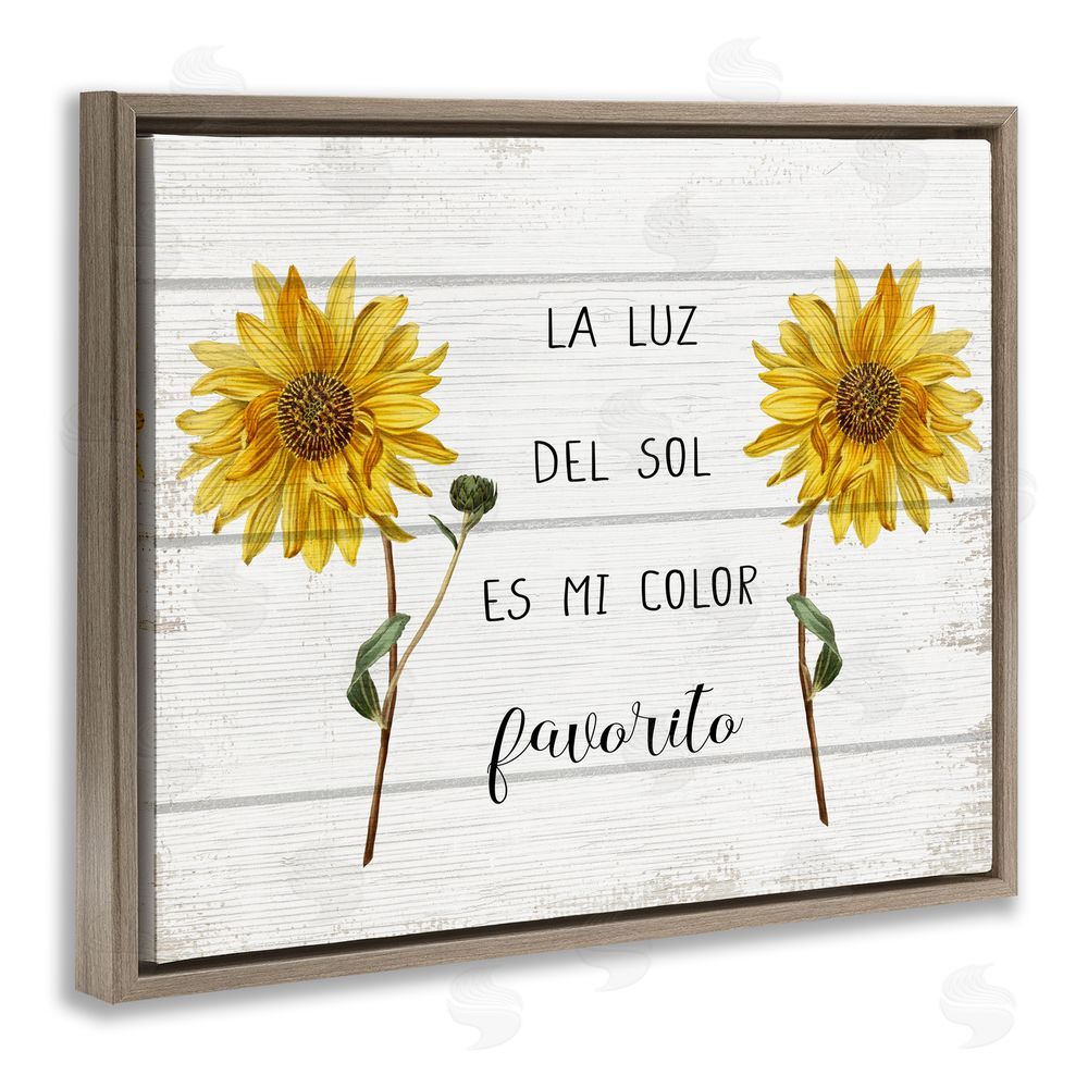 Stupell Studio La Luz Del Sol Brown Floating Frame Canvas Wall Art Print