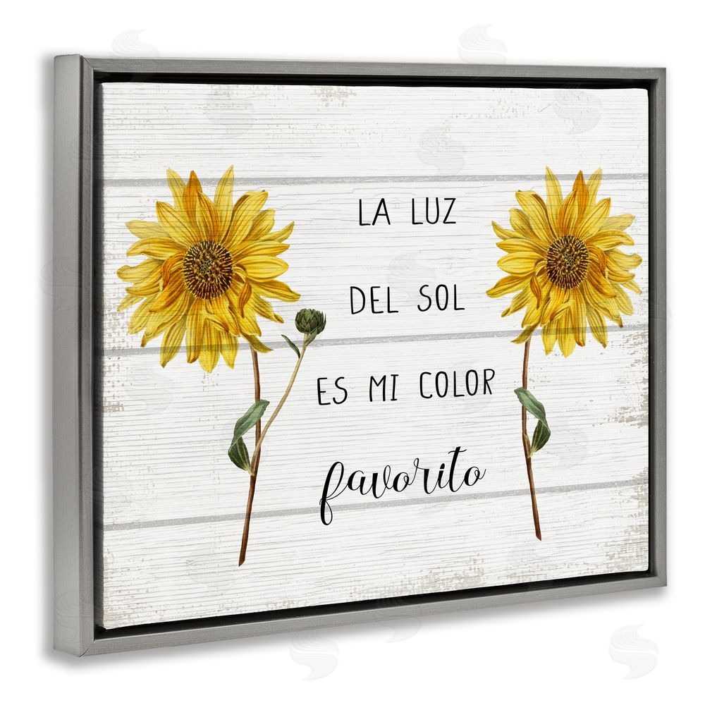 Stupell Studio La Luz Del Sol Gray Floating Frame Canvas Wall Art Print