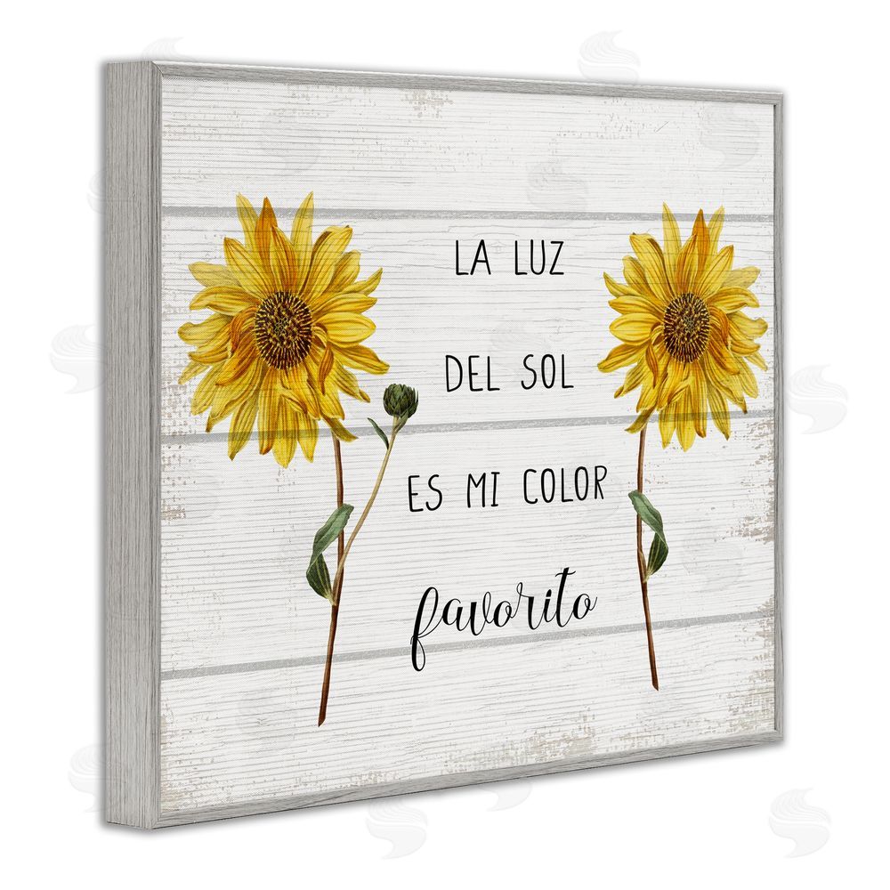 Stupell Studio La Luz Del Sol Gray Framed Giclee Wall Art Print