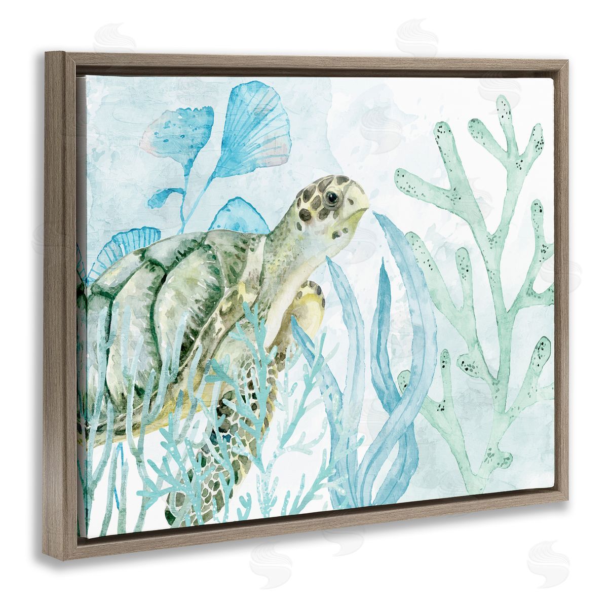 Kim Allen Turtle in Watercolor Coral Brown Floating Frame Canvas Wall Art Print