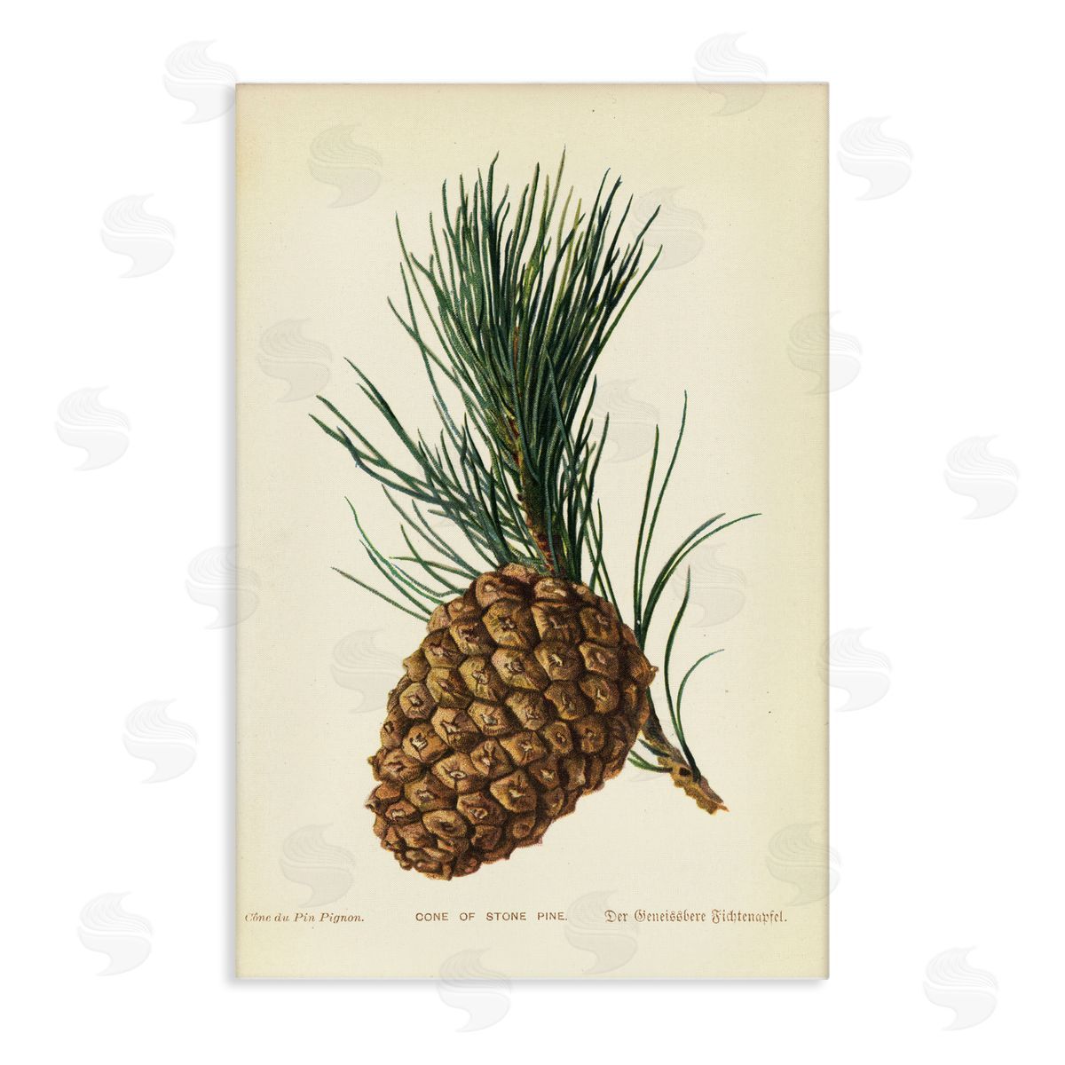 Detailed Pine Cone Sprig Canvas Wall Art, Home Decor by Tina Higgins Designs, Inc.