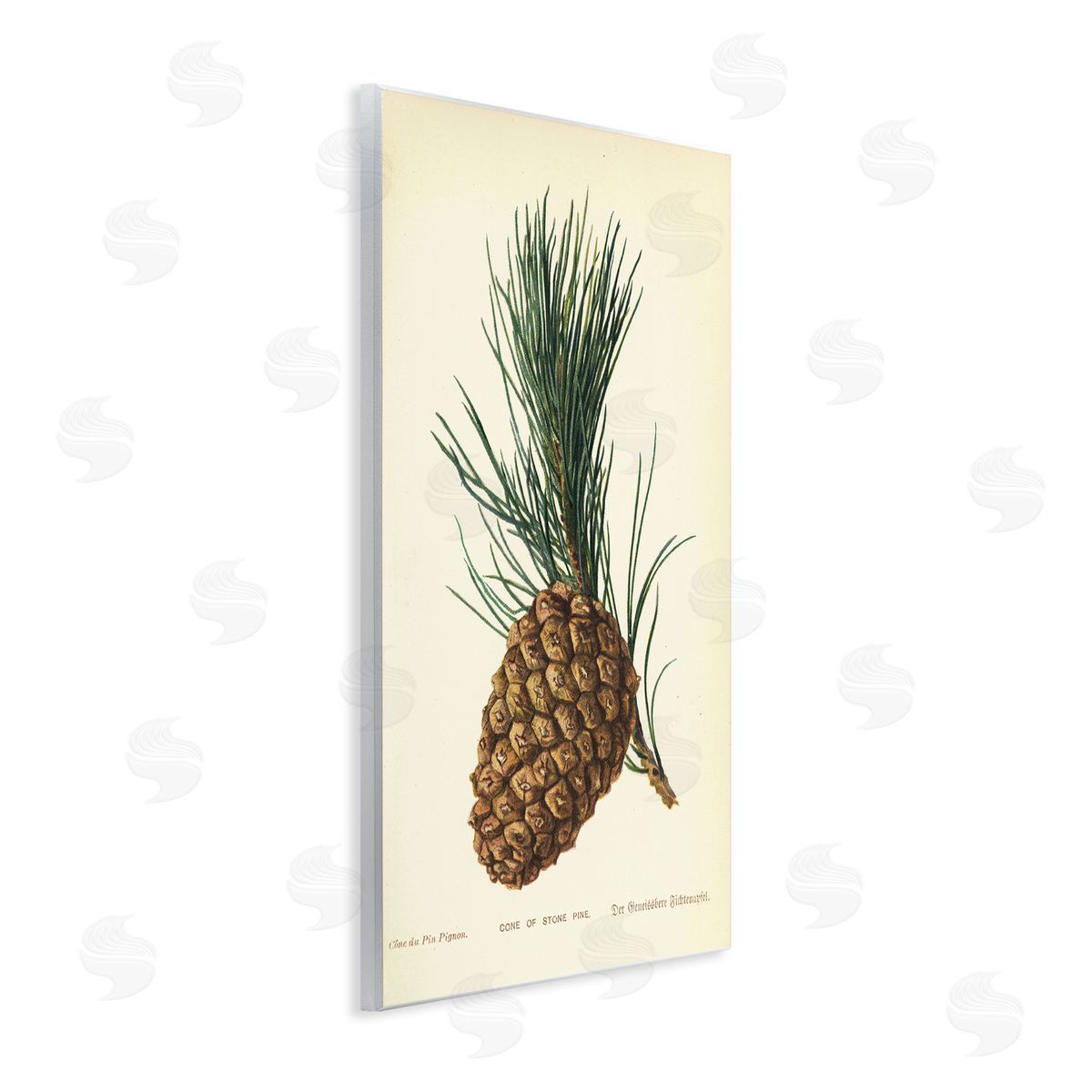 Detailed Pine Cone Sprig Wood Plaque Wall Art, Home Decor by Tina Higgins Designs, Inc.