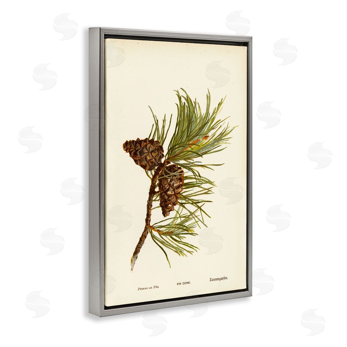 Fir Tree Cones Grey Floating Frame Canvas Wall Art, Home Decor by Tina Higgins Designs, Inc.
