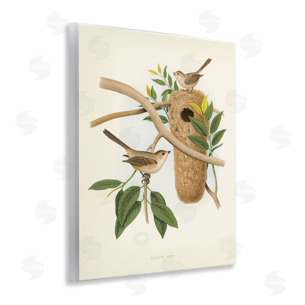 Vintage Bird House Study Wood Plaque Wall Art, Home Decor by Tina Higgins Designs, Inc.