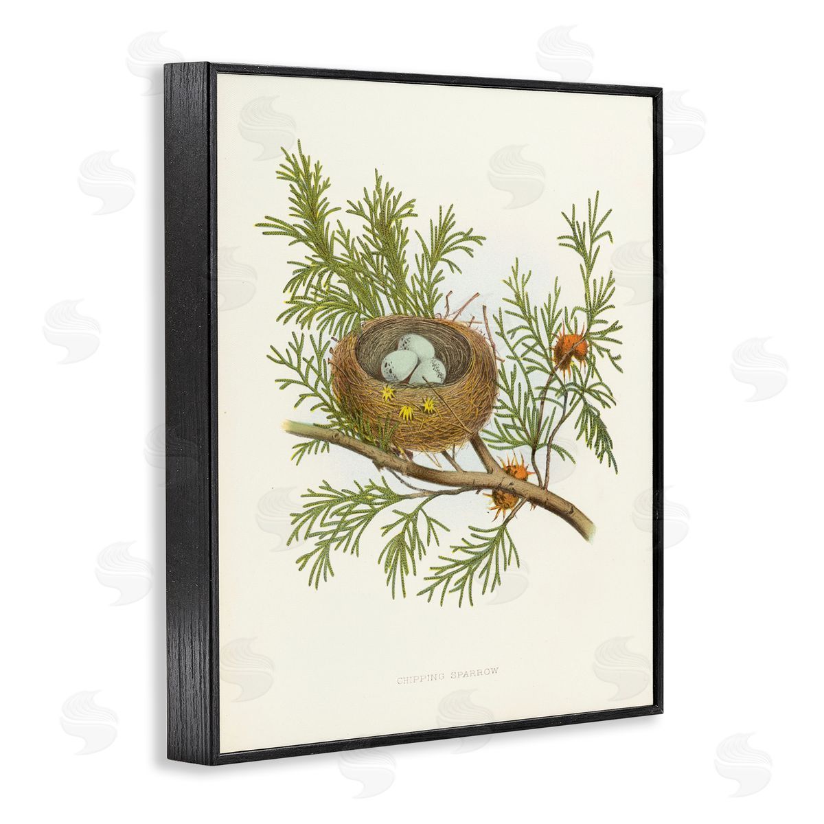 Forest Bird Nest on Branch Black Frame Print Wall Art, Home Decor by Tina Higgins Designs, Inc.