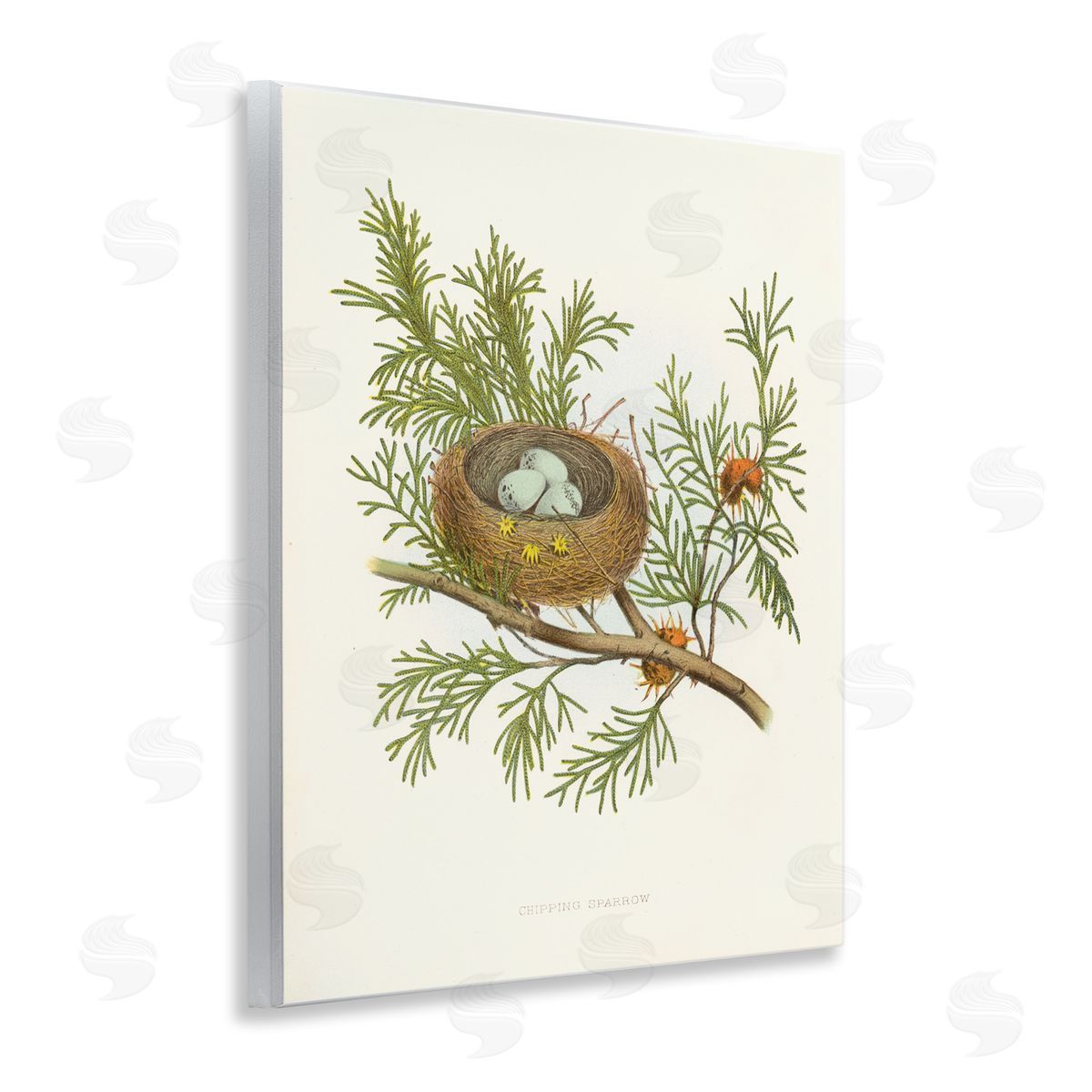 Forest Bird Nest on Branch Wood Plaque Wall Art, Home Decor by Tina Higgins Designs, Inc.