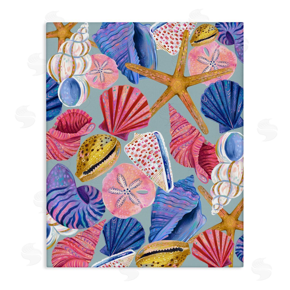 Bright Seashells Assortment Canvas Wall Art, Home Decor by Arrolynn Weiderhold