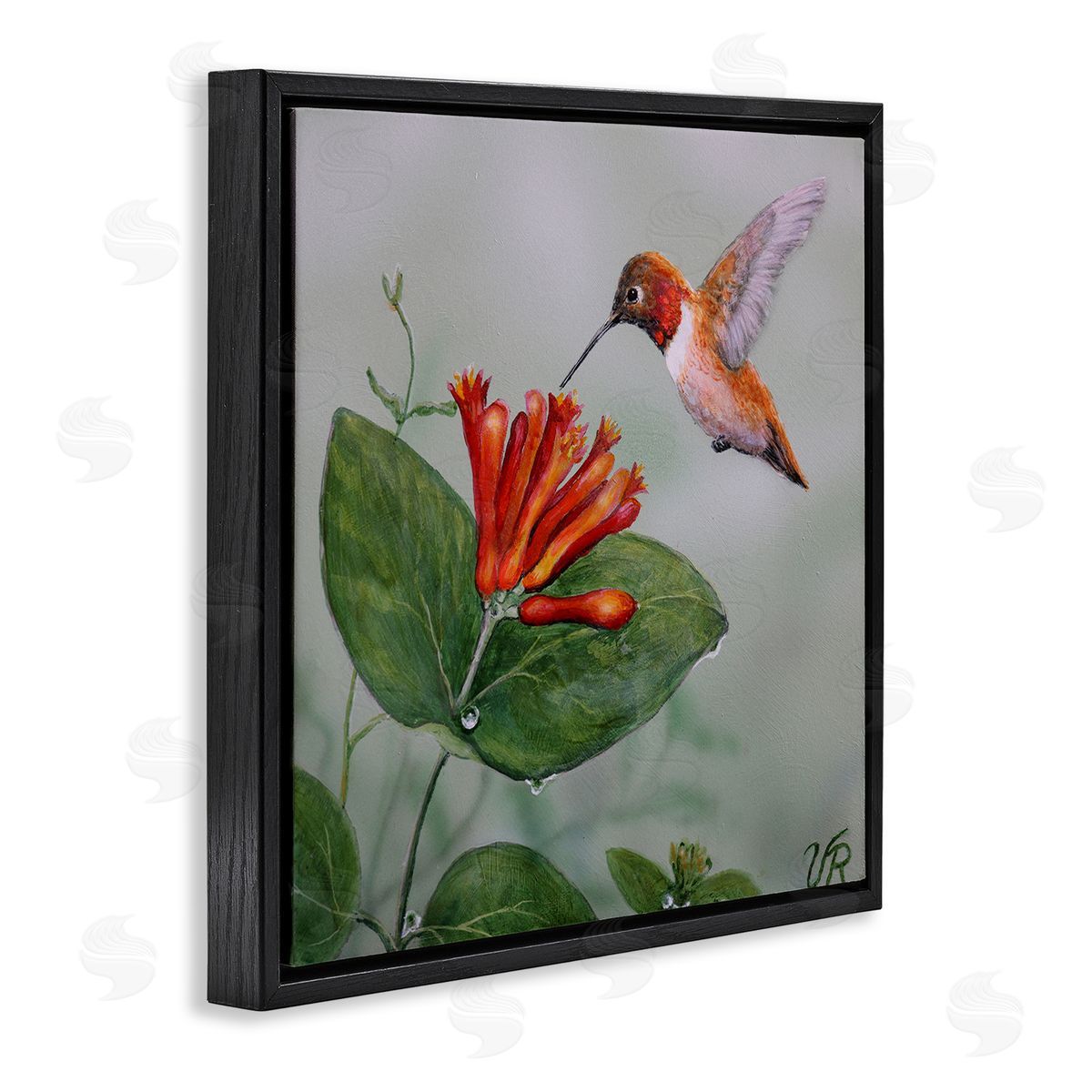 Red Hummingbird & Flower Black Floating Frame Canvas Wall Art, Home Decor by Valerie Rogers