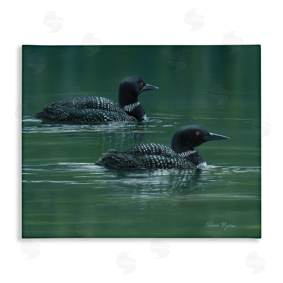 Peaceful Loon Duo Canvas Wall Art, Home Decor by Valerie Rogers