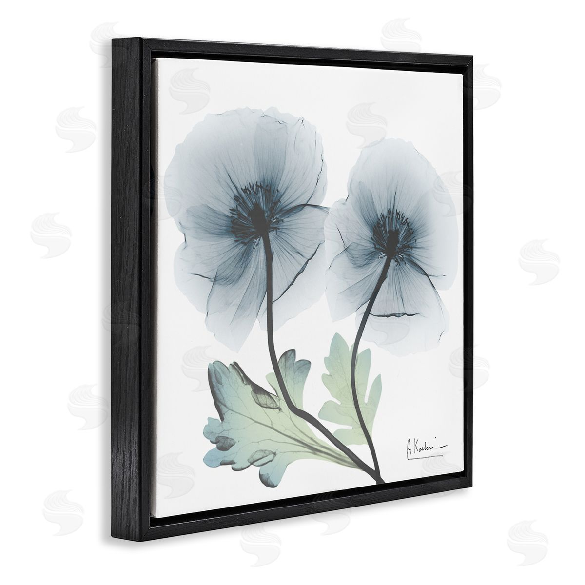 Sapphire Florals Duo Black Floating Frame Canvas Wall Art, Home Decor by Albert Koetsier