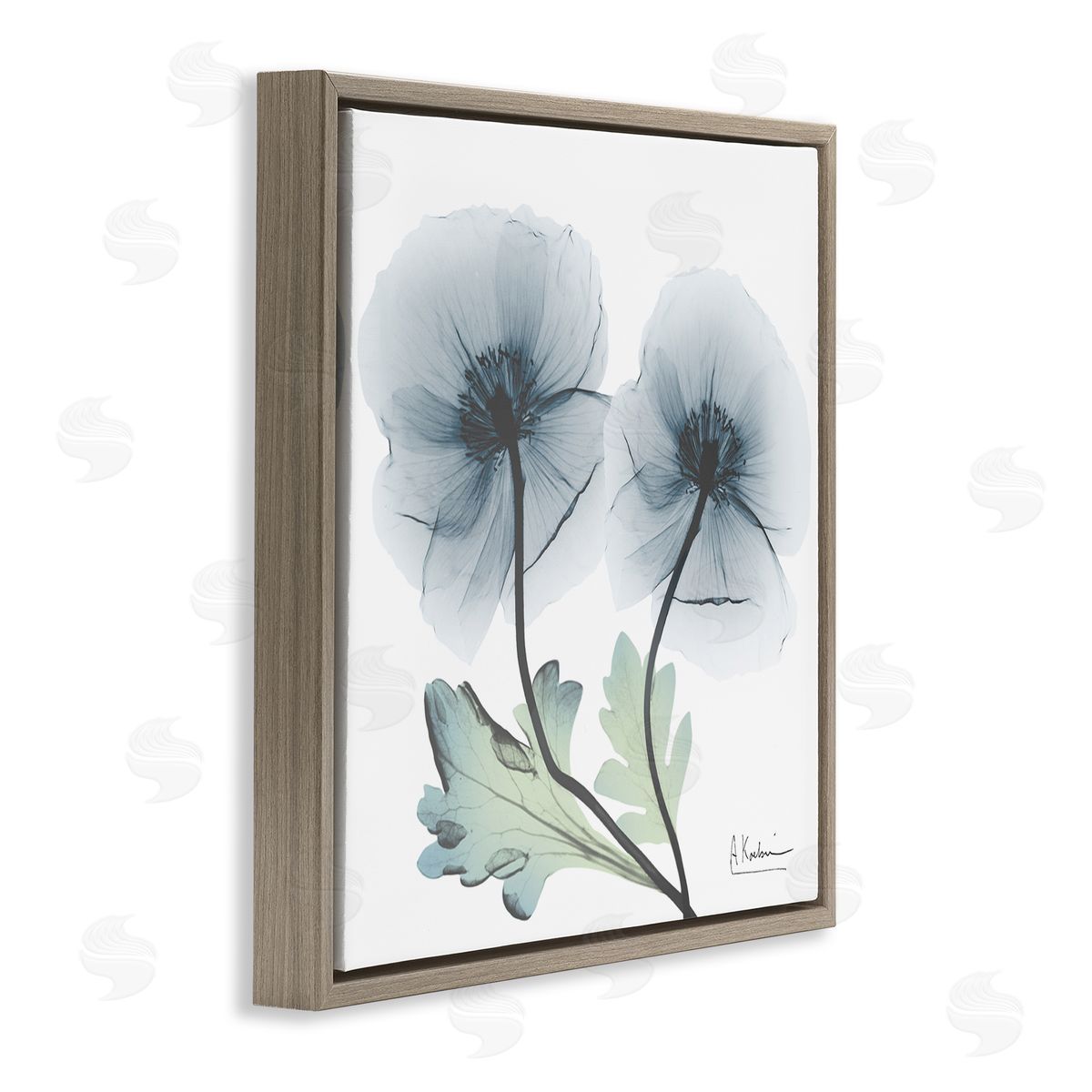 Sapphire Florals Duo Brown Floating Frame Canvas Wall Art, Home Decor by Albert Koetsier