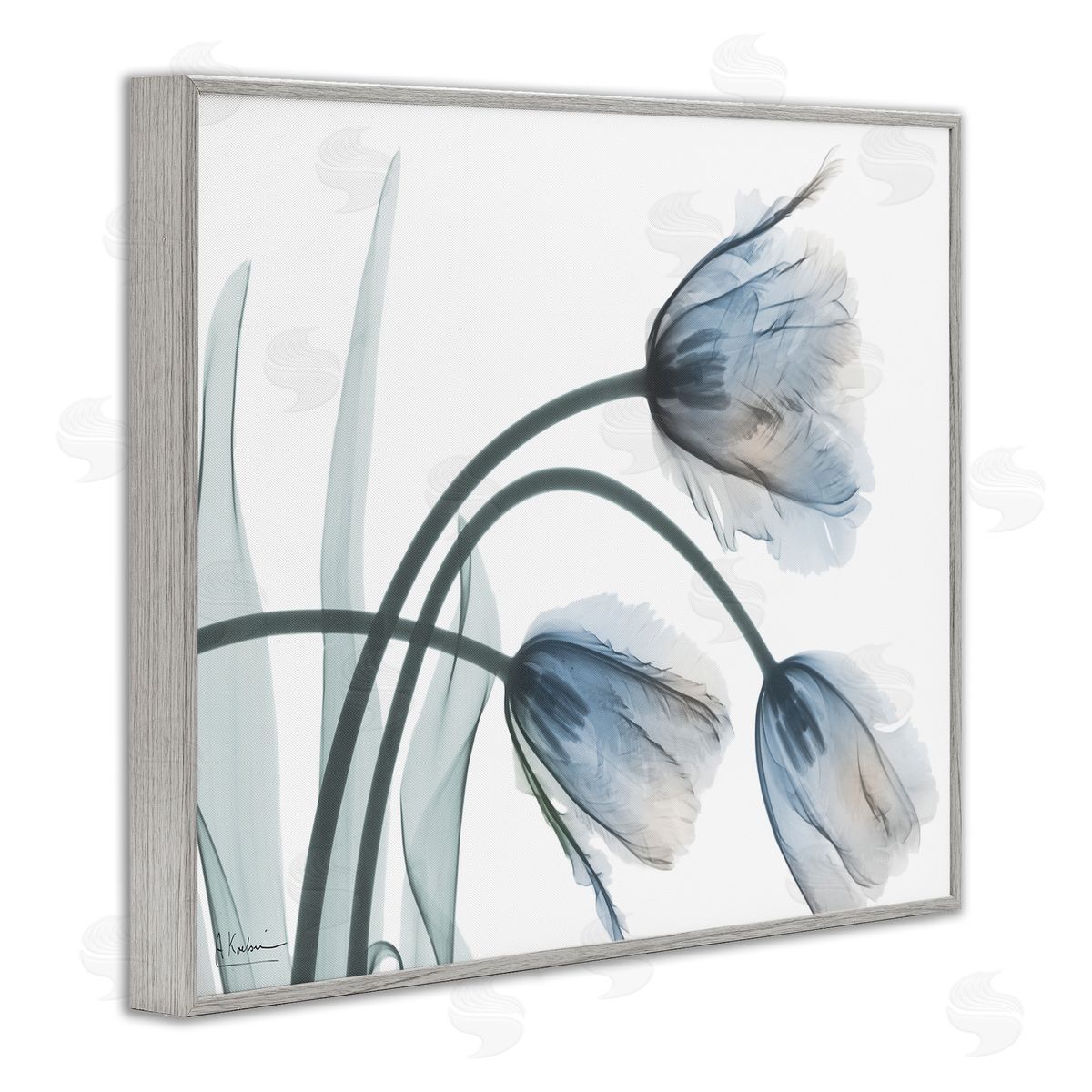 Trendy Mod Tulips Grey Frame Print Wall Art, Home Decor by Albert Koetsier