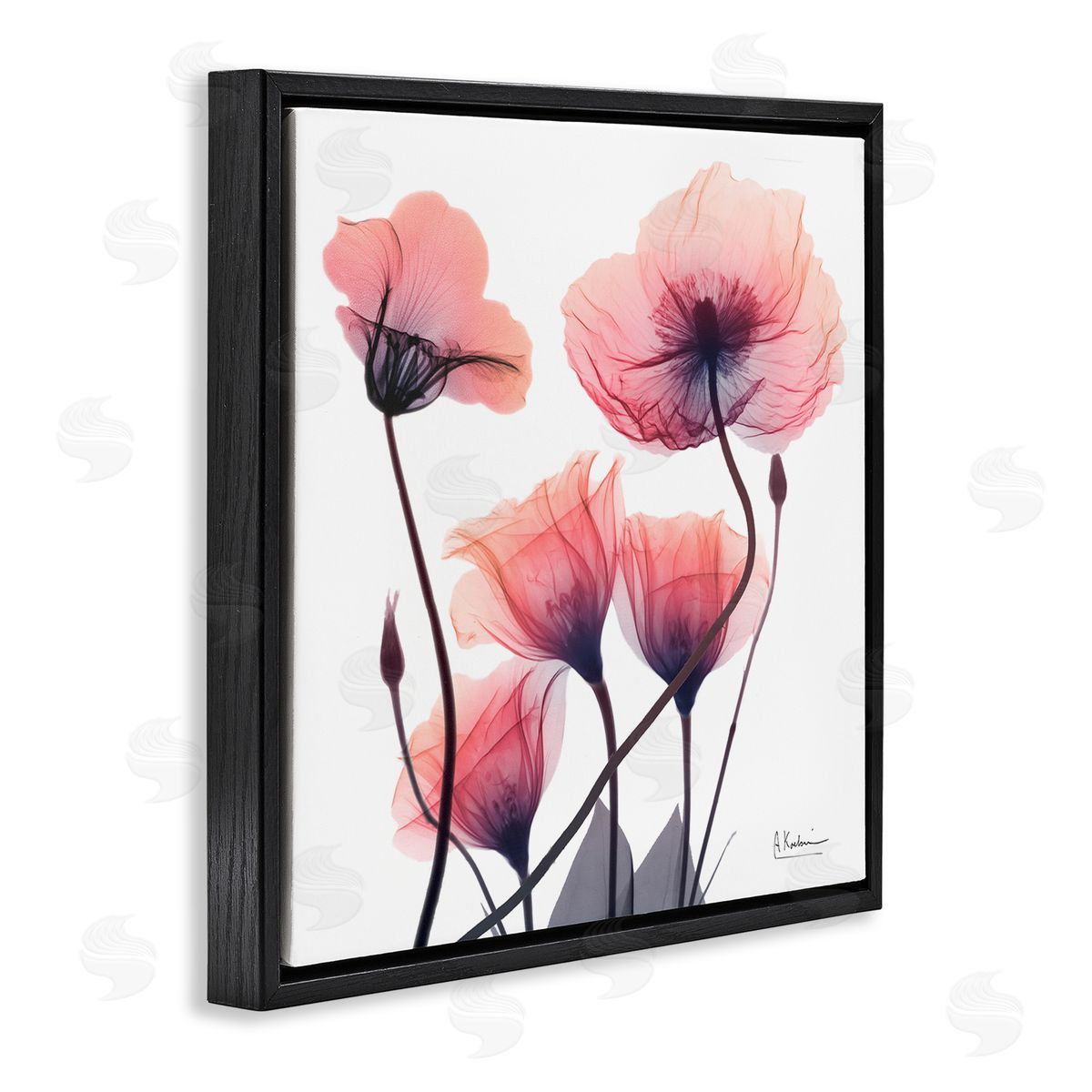 Elegant Modern Poppy Buds Black Floating Frame Canvas Wall Art, Home Decor by Albert Koetsier