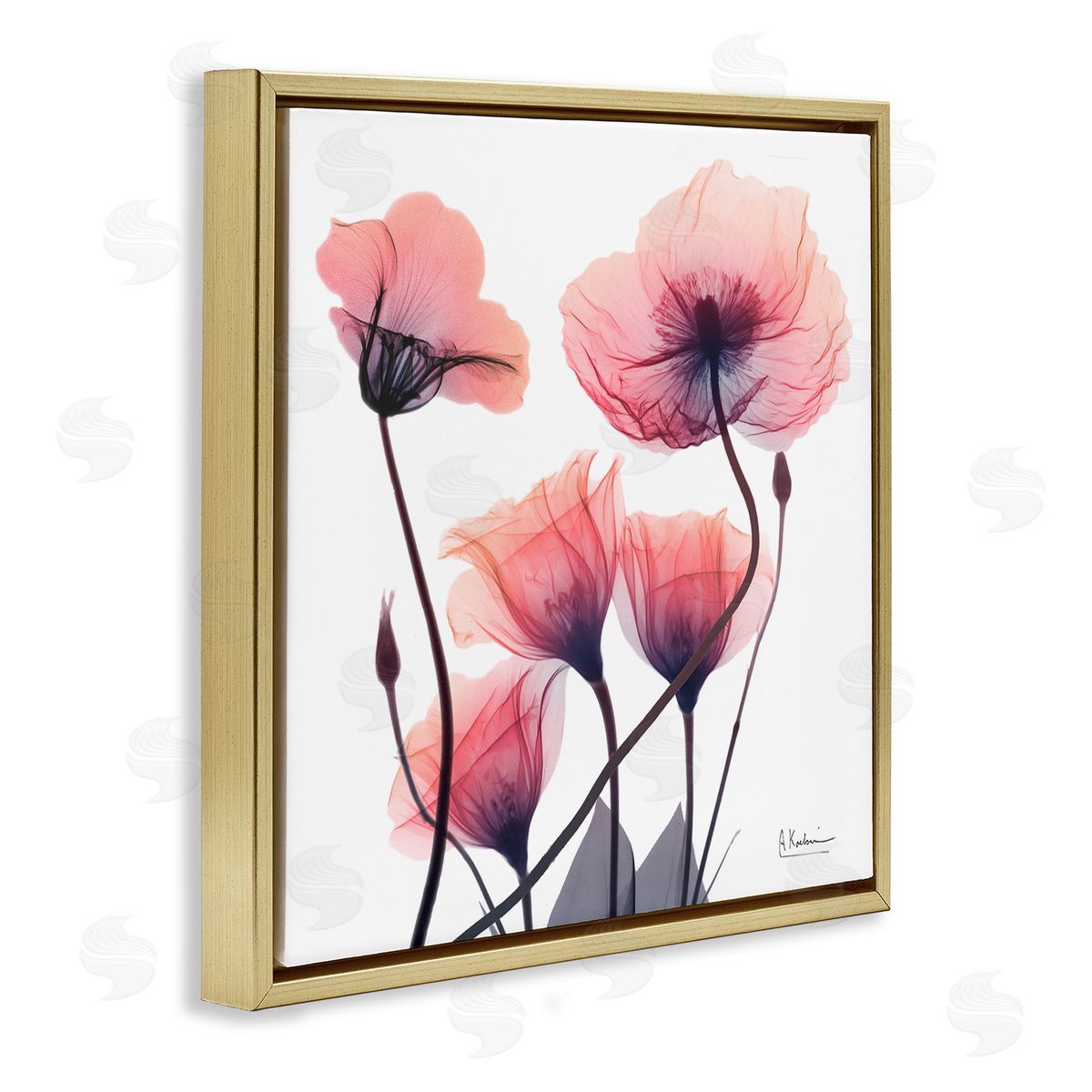 Elegant Modern Poppy Buds Gold Floating Frame Canvas Wall Art, Home Decor by Albert Koetsier