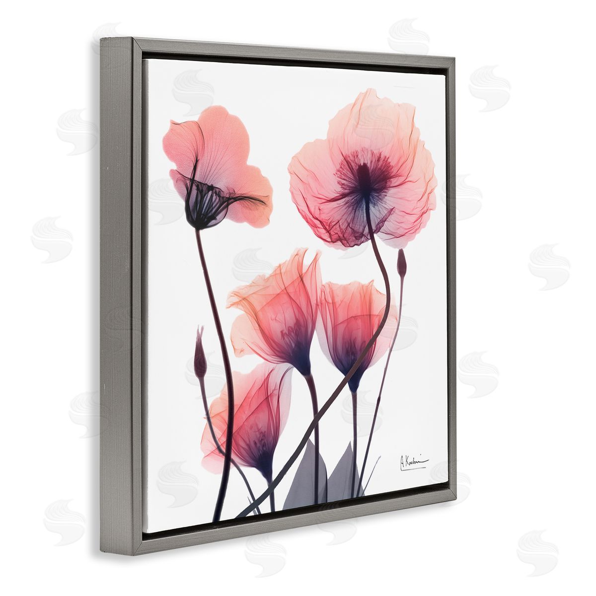 Elegant Modern Poppy Buds Grey Floating Frame Canvas Wall Art, Home Decor by Albert Koetsier