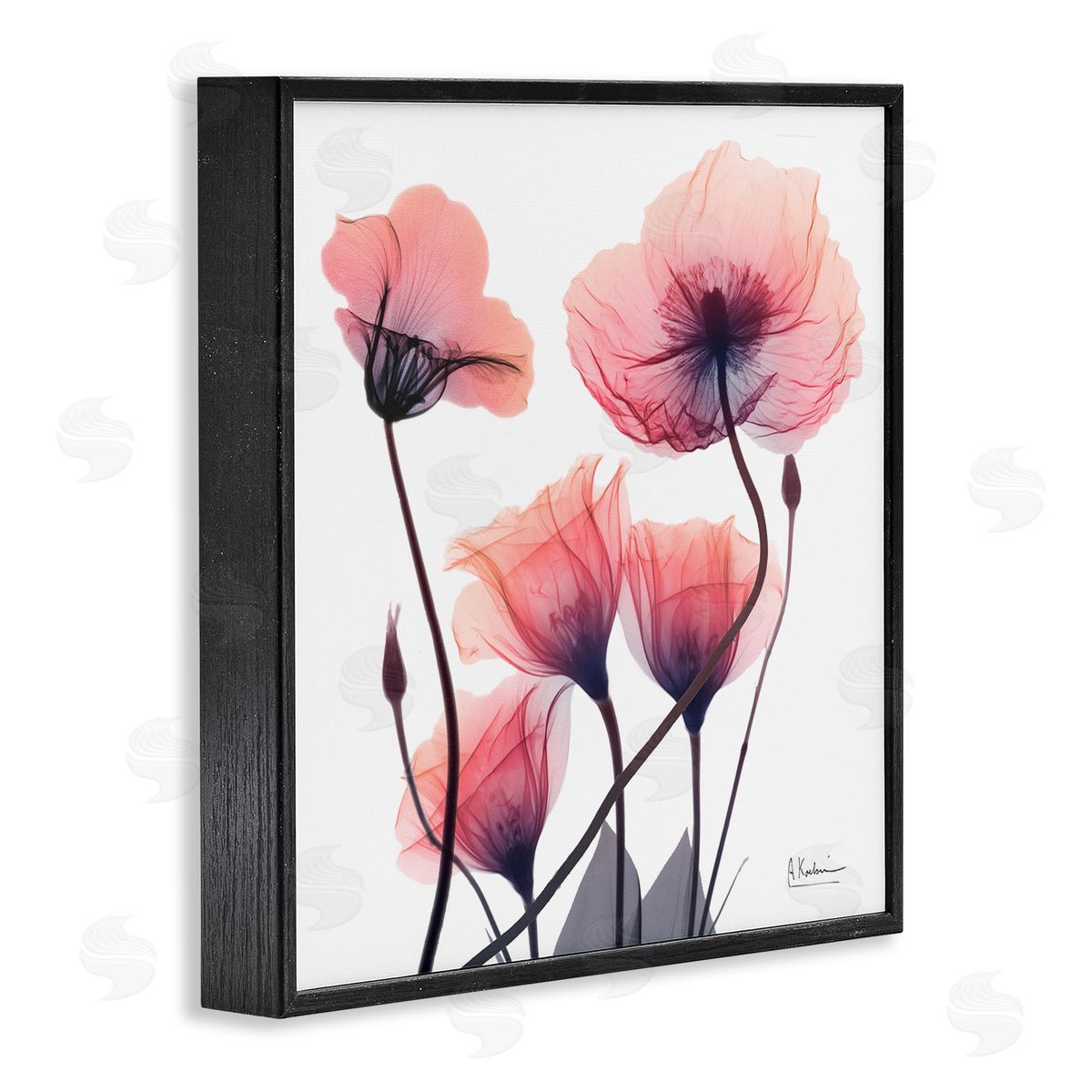 Elegant Modern Poppy Buds Black Frame Print Wall Art, Home Decor by Albert Koetsier