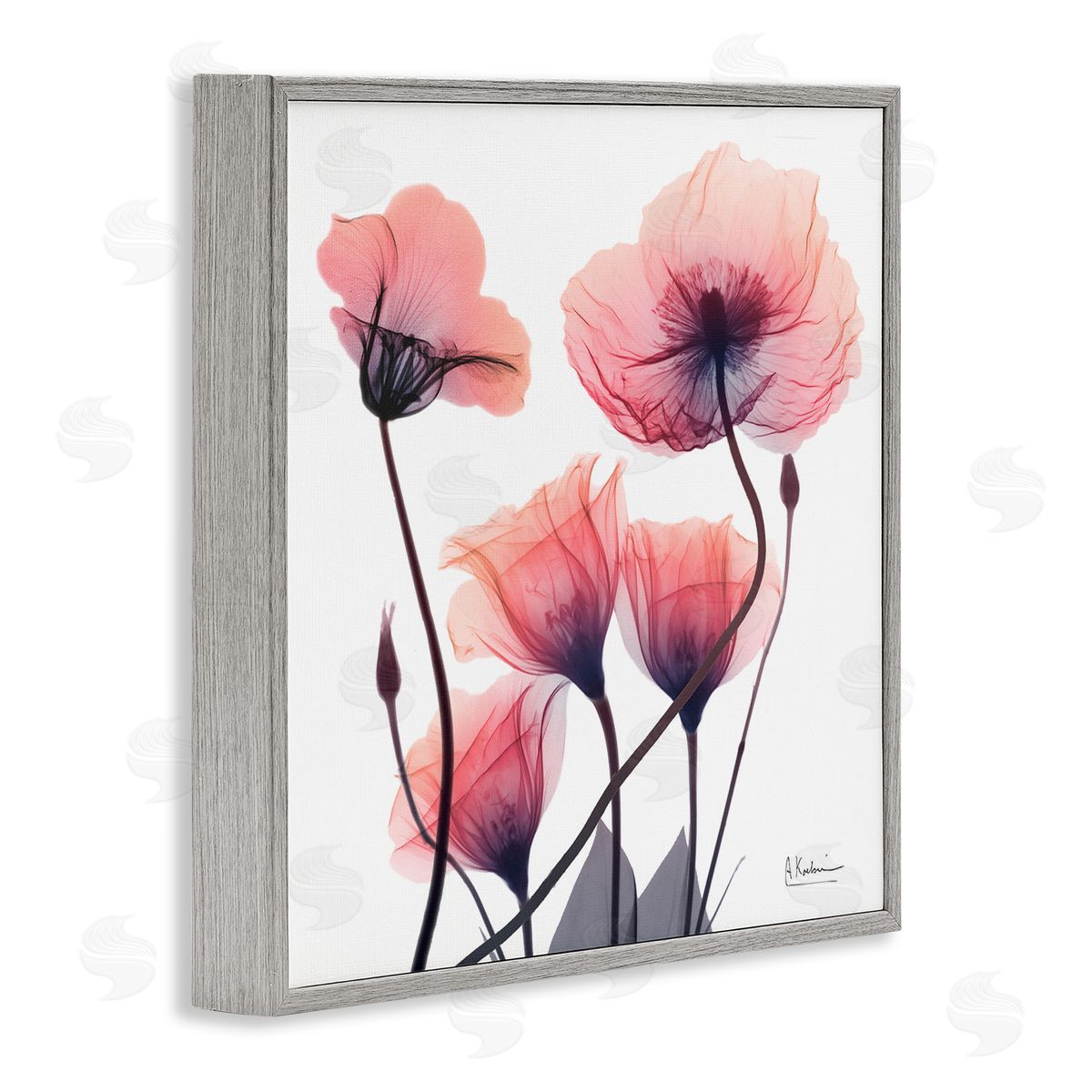 Elegant Modern Poppy Buds Grey Frame Print Wall Art, Home Decor by Albert Koetsier