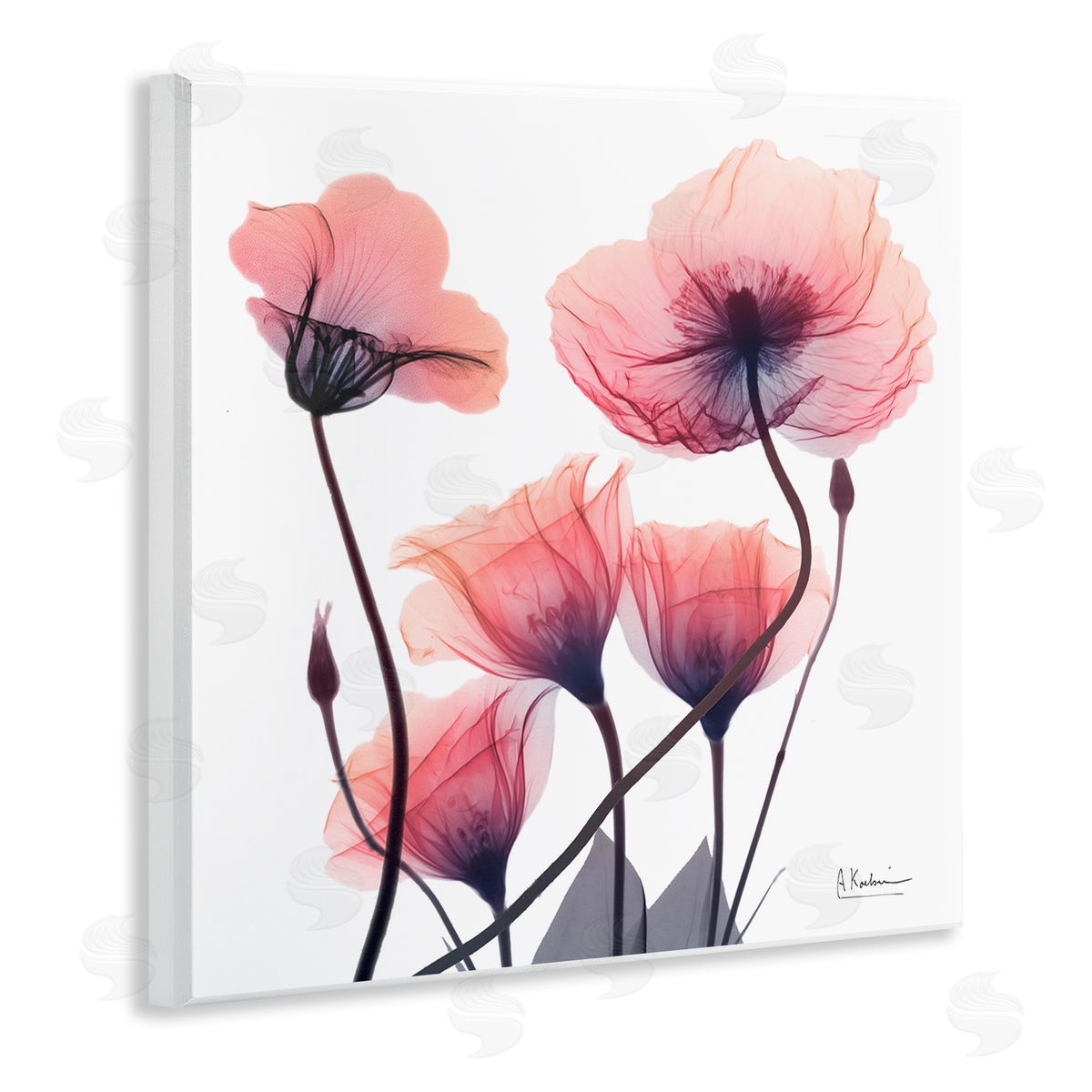 Elegant Modern Poppy Buds Wood Plaque Wall Art, Home Decor by Albert Koetsier