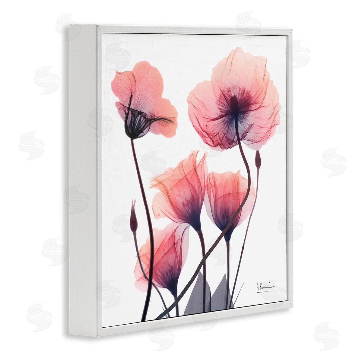 Elegant Modern Poppy Buds White Frame Print Wall Art, Home Decor by Albert Koetsier