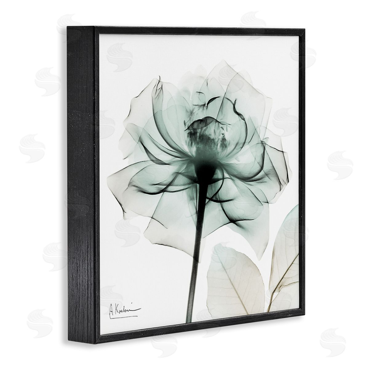 Transparent Flower Blossom Black Frame Print Wall Art, Home Decor by Albert Koetsier