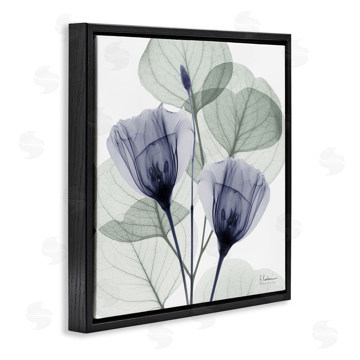 Contemporary Eucalyptus & Herbs Black Floating Frame Canvas Wall Art, Home Decor by Albert Koetsier