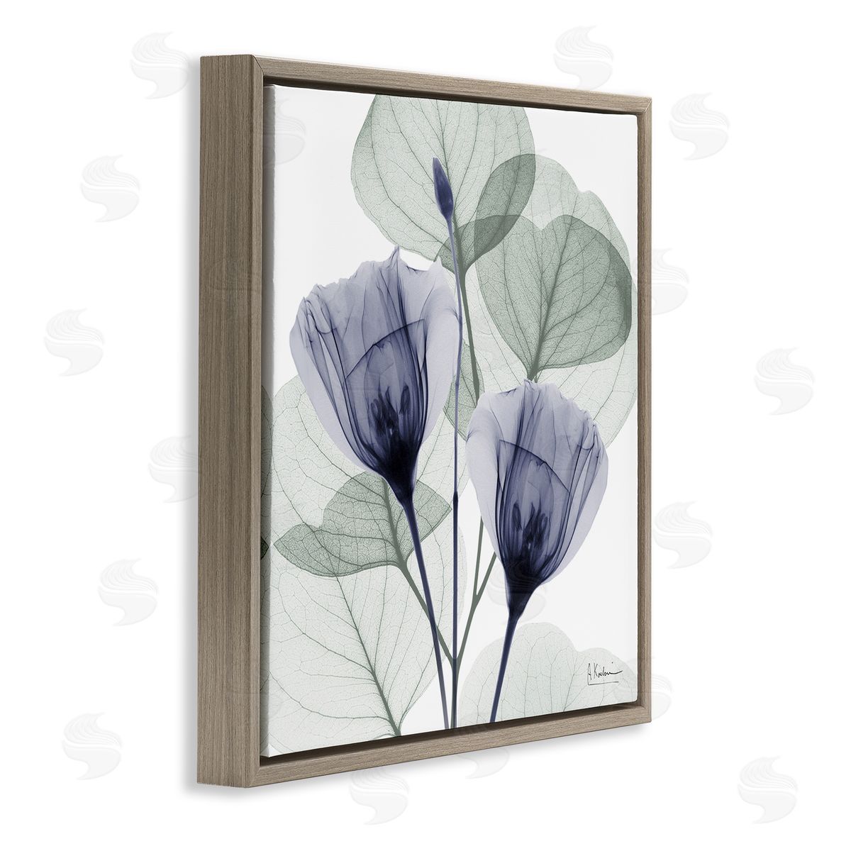 Contemporary Eucalyptus & Herbs Brown Floating Frame Canvas Wall Art, Home Decor by Albert Koetsier