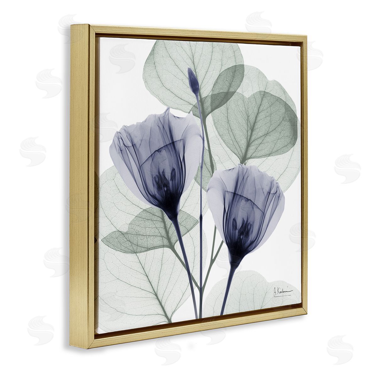 Contemporary Eucalyptus & Herbs Gold Floating Frame Canvas Wall Art, Home Decor by Albert Koetsier