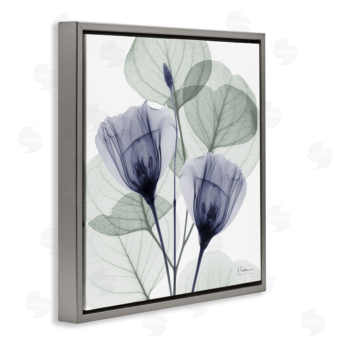 Contemporary Eucalyptus & Herbs Grey Floating Frame Canvas Wall Art, Home Decor by Albert Koetsier