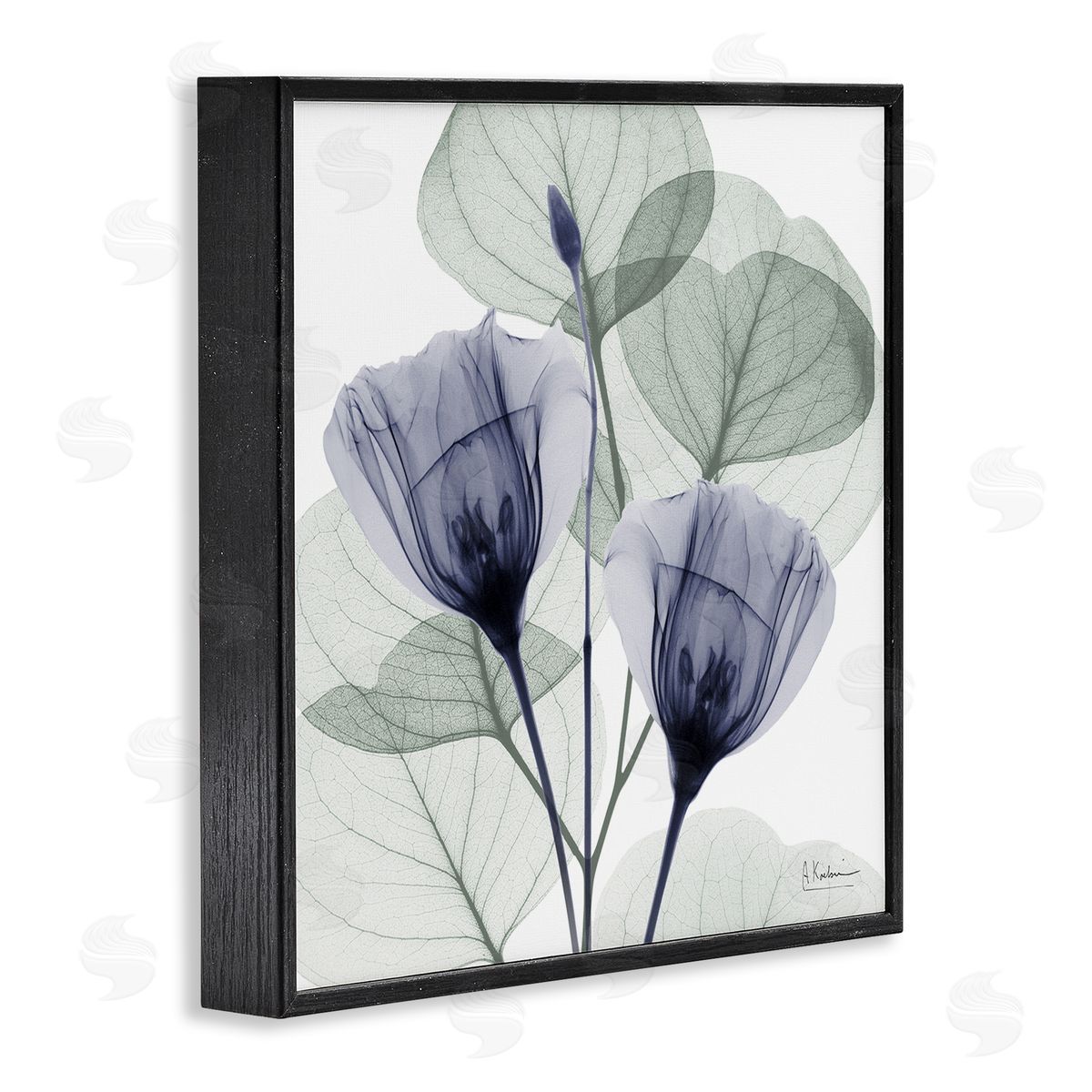 Contemporary Eucalyptus & Herbs Black Frame Print Wall Art, Home Decor by Albert Koetsier