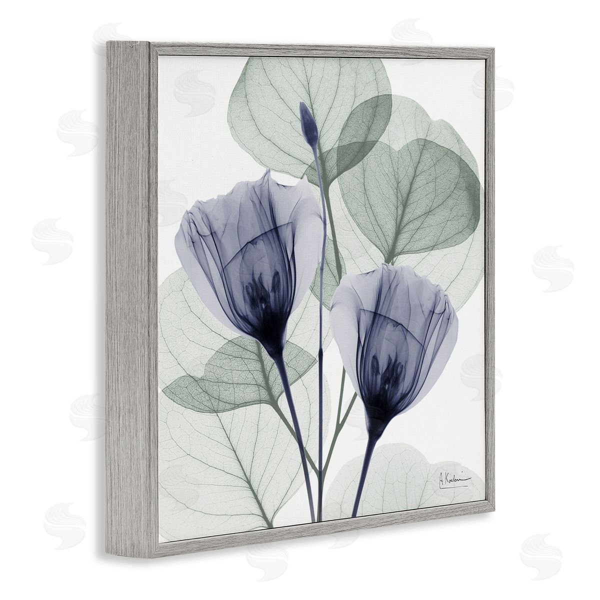 Contemporary Eucalyptus & Herbs Grey Frame Print Wall Art, Home Decor by Albert Koetsier