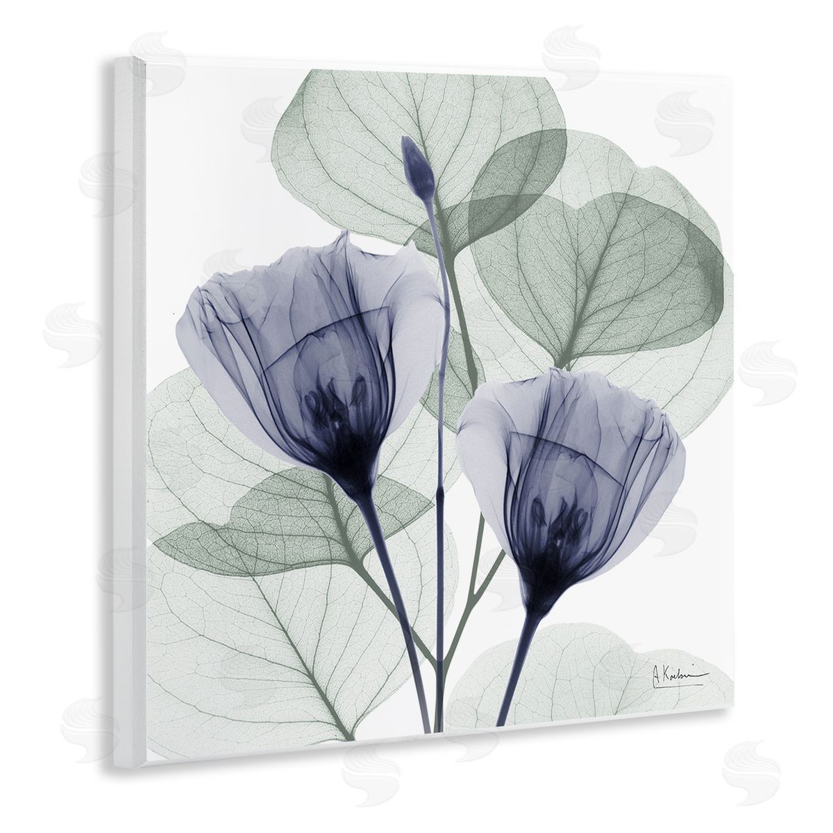 Contemporary Eucalyptus & Herbs Wood Plaque Wall Art, Home Decor by Albert Koetsier