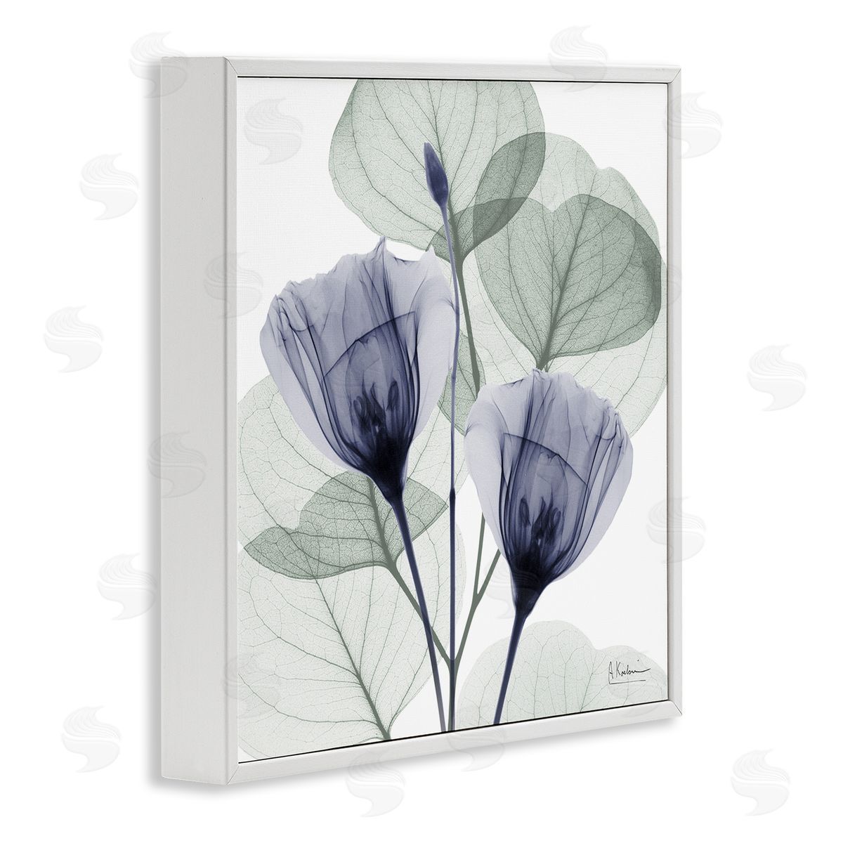 Contemporary Eucalyptus & Herbs White Frame Print Wall Art, Home Decor by Albert Koetsier