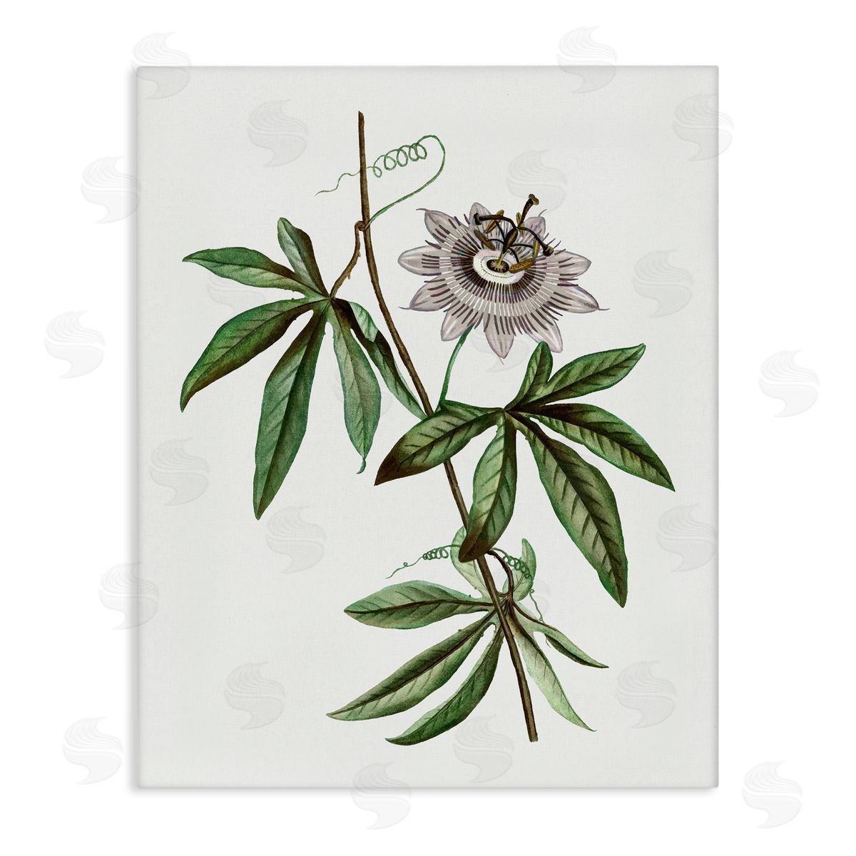 Vintage Circular Bloom Canvas Wall Art, Home Decor by CAD Designs