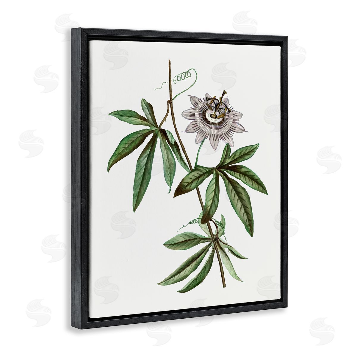 Vintage Circular Bloom Black Floating Frame Canvas Wall Art, Home Decor by CAD Designs