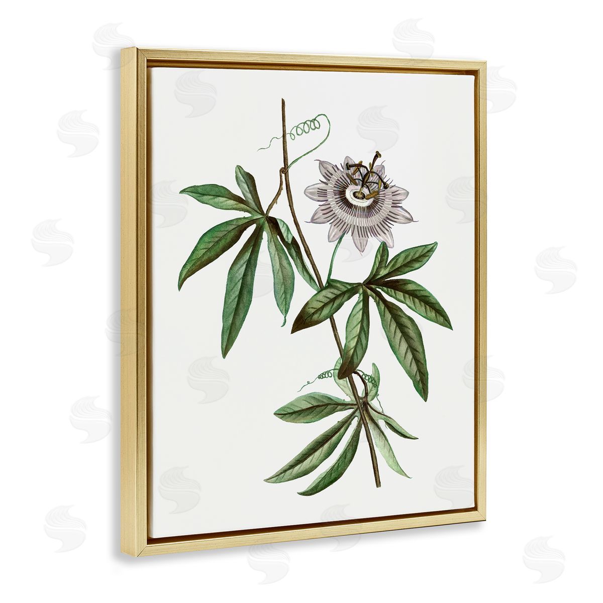 Vintage Circular Bloom Gold Floating Frame Canvas Wall Art, Home Decor by CAD Designs