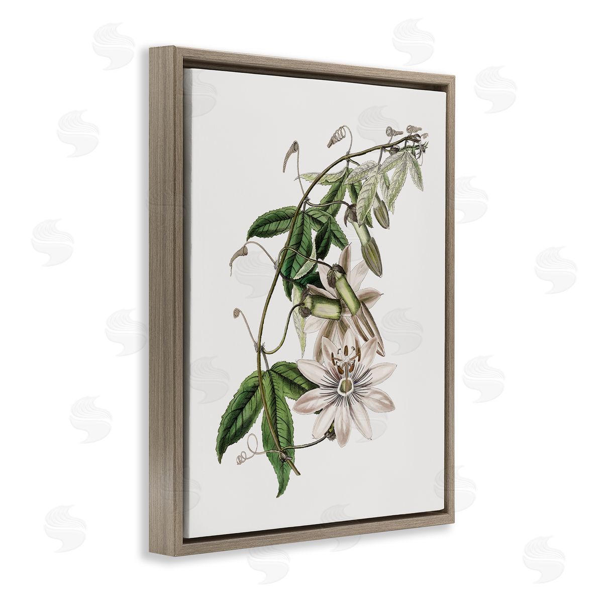Vintage Lily Plant Brown Floating Frame Canvas Wall Art, Home Decor by CAD Designs