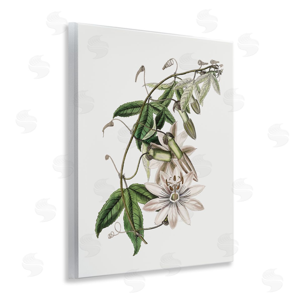 Vintage Lily Plant Wood Plaque Wall Art, Home Decor by CAD Designs