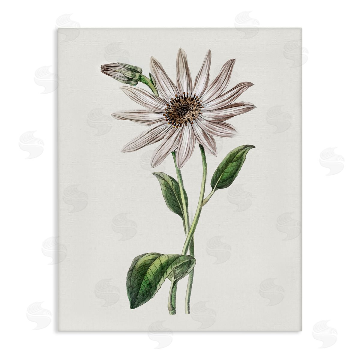 Vintage Mum Sprig Canvas Wall Art, Home Decor by CAD Designs