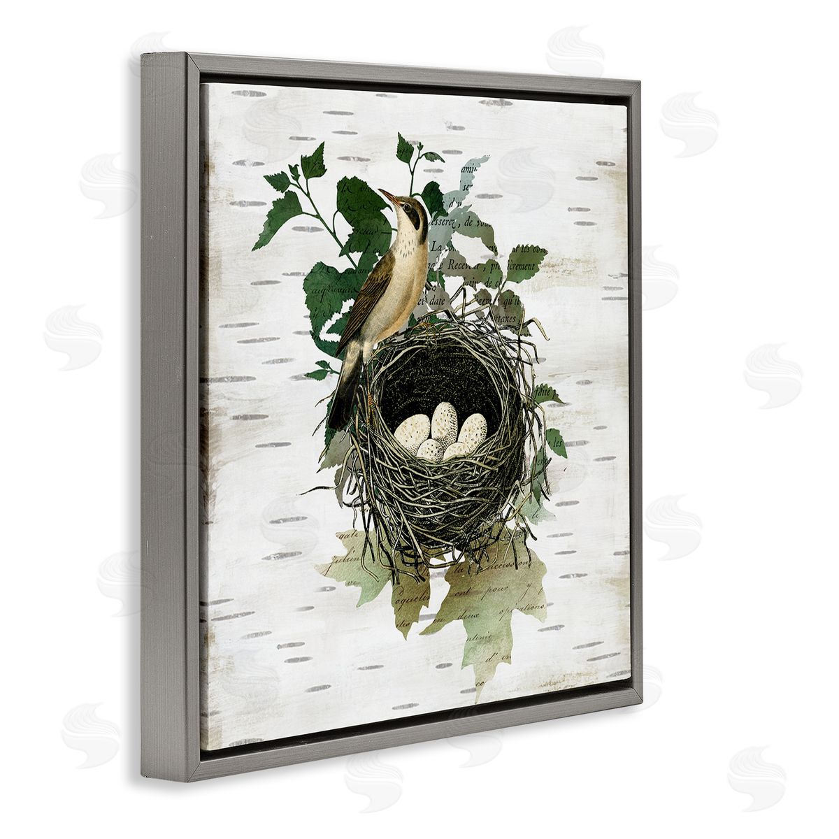 Vintage Bird Nest & Flora Grey Floating Frame Canvas Wall Art, Home Decor by Susan Arnot