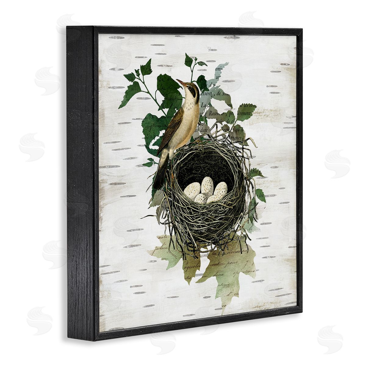 Vintage Bird Nest & Flora Black Frame Print Wall Art, Home Decor by Susan Arnot
